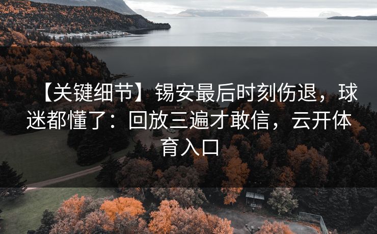 【关键细节】锡安最后时刻伤退，球迷都懂了：回放三遍才敢信，云开体育入口