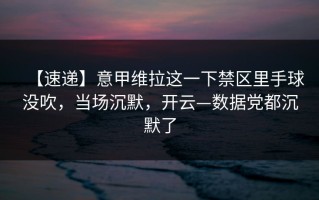 【速递】意甲维拉这一下禁区里手球没吹，当场沉默，开云—数据党都沉默了