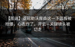 【图说】亚冠勒沃库森这一下篮板被抢爆，心态炸了，开云—关键镜头被切走