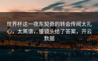 世界杯这一夜东契奇的转会传闻太扎心，太离谱，慢镜头给了答案，开云数据