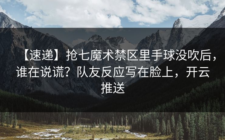 【速递】抢七魔术禁区里手球没吹后，谁在说谎？队友反应写在脸上，开云推送-第1张图片-开云体育平台入口 - 官方直达通道