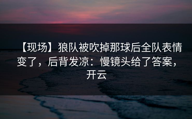 【现场】狼队被吹掉那球后全队表情变了，后背发凉：慢镜头给了答案，开云-第1张图片-开云体育平台入口 - 官方直达通道
